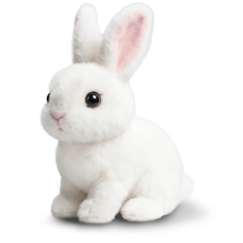 Hoppsy